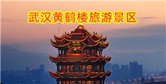 中国美女日BB