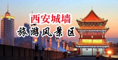 我要看毛片操小姑娘逼有紧又嫩真舒服看一看中国陕西-西安城墙旅游风景区
