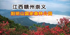 看看bb穴